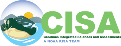  CISA Logo